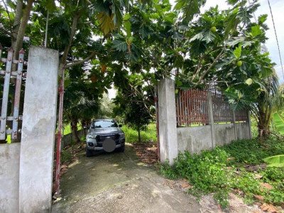 BÁN 1000M2 ĐẤT VƯỜN MT CÔNG VỤ CAO TỐC, XÃ HƯỚNG THỌ PHÚ, TP. TÂN AN, LONG AN. LH 0909455663 MINH QUÂN LAND